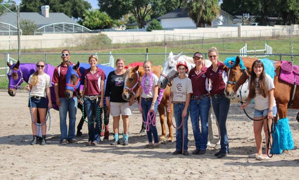 Horses on Halloween