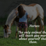 $home_featured_post_title $home_featured_post_title