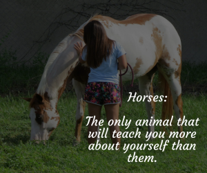 Horses Can Carry You To Healing Without Riding Them Horses Can Carry You To Healing Without Riding Them