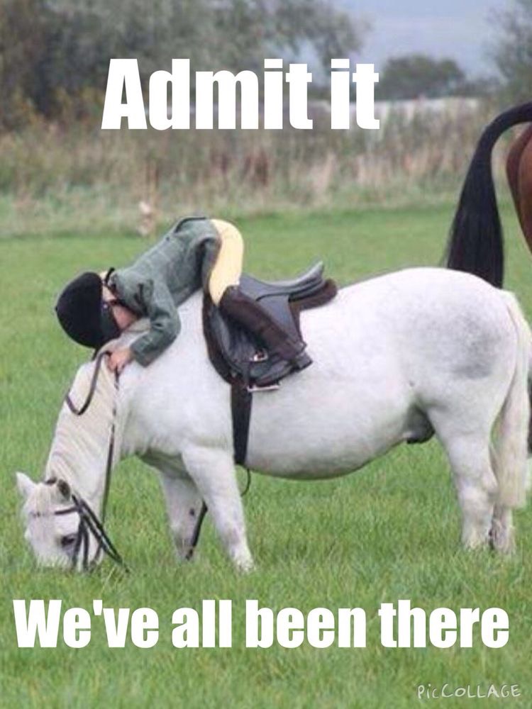 10 Powerful Character Traits I've Learned From Working With Horses